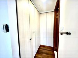 Four Seasons Park (D10), Condominium #479926491